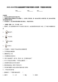 2023-2024学年云南省曲靖罗平县联考物理九年级第一学期期末调研试题含答案