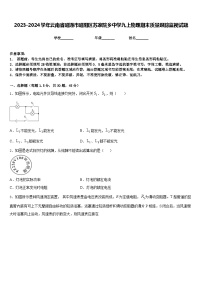 2023-2024学年云南省昭通市昭阳区苏家院乡中学九上物理期末质量跟踪监视试题含答案