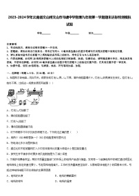 2023-2024学年云南省文山州文山市马塘中学物理九年级第一学期期末达标检测模拟试题含答案