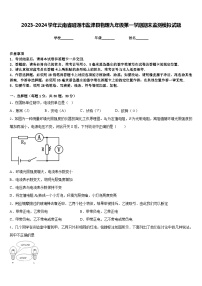 2023-2024学年云南省昭通市盐津县物理九年级第一学期期末监测模拟试题含答案