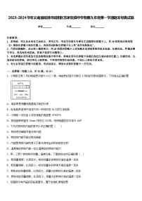 2023-2024学年云南省昭通市昭阳区苏家院镇中学物理九年级第一学期期末经典试题含答案