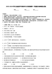 2023-2024学年云南省罗平县联考九年级物理第一学期期末调研模拟试题含答案