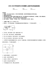 2023-2024学年北京市大兴区物理九上期末学业质量监测试题含答案