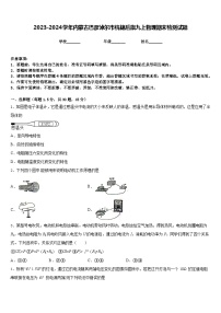 2023-2024学年内蒙古巴彦淖尔市杭锦后旗九上物理期末检测试题含答案