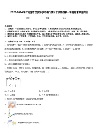 2023-2024学年内蒙古巴彦淖尔市磴口县九年级物理第一学期期末预测试题含答案