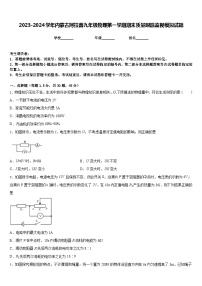 2023-2024学年内蒙古阿拉善九年级物理第一学期期末质量跟踪监视模拟试题含答案