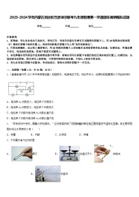 2023-2024学年内蒙古自治区巴彦淖尔联考九年级物理第一学期期末调研模拟试题含答案