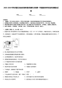 2023-2024学年内蒙古自治区海勃湾区物理九年级第一学期期末教学质量检测模拟试题含答案