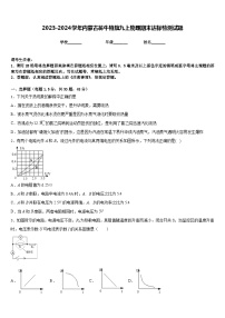 2023-2024学年内蒙古翁牛特旗九上物理期末达标检测试题含答案