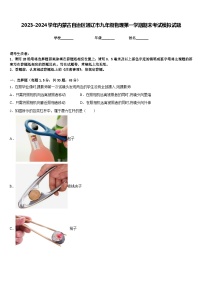 2023-2024学年内蒙古自治区通辽市九年级物理第一学期期末考试模拟试题含答案