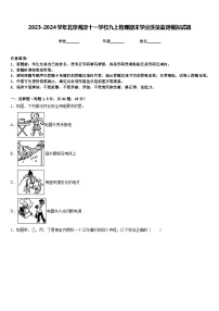 2023-2024学年北京海淀十一学校九上物理期末学业质量监测模拟试题含答案