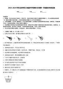 2023-2024学年北京师范大附属中学物理九年级第一学期期末预测试题含答案