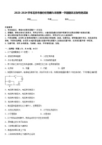 2023-2024学年北京市部分区物理九年级第一学期期末达标检测试题含答案