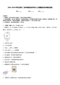 2023-2024学年北师大二附中西城实验学校九上物理期末统考模拟试题含答案