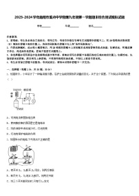 2023-2024学年南阳市重点中学物理九年级第一学期期末综合测试模拟试题含答案