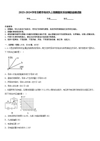 2023-2024学年合肥市包河九上物理期末质量跟踪监视试题含答案