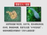 14.5測量電壓（課件）-九年級物理上學期同步精品課件+分層作業(yè)（滬科版）