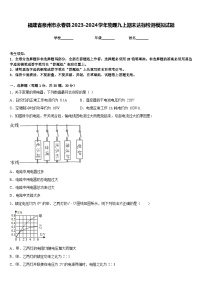 福建省泉州市永春县2023-2024学年物理九上期末达标检测模拟试题含答案