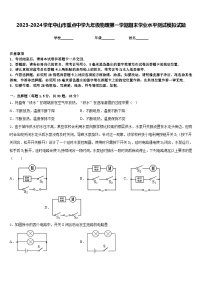 2023-2024学年中山市重点中学九年级物理第一学期期末学业水平测试模拟试题含答案