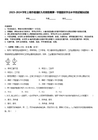 2023-2024学年上海市杨浦区九年级物理第一学期期末学业水平测试模拟试题含答案