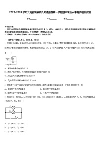 2023-2024学年云南省姚安县九年级物理第一学期期末学业水平测试模拟试题含答案