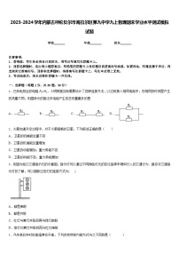 2023-2024学年内蒙古呼伦贝尔市海拉尔区第九中学九上物理期末学业水平测试模拟试题含答案