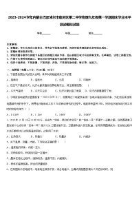 2023-2024学年内蒙古巴彦淖尔市临河区第二中学物理九年级第一学期期末学业水平测试模拟试题含答案