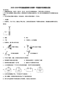 2023-2024学年湖南省物理九年级第一学期期末检测模拟试题