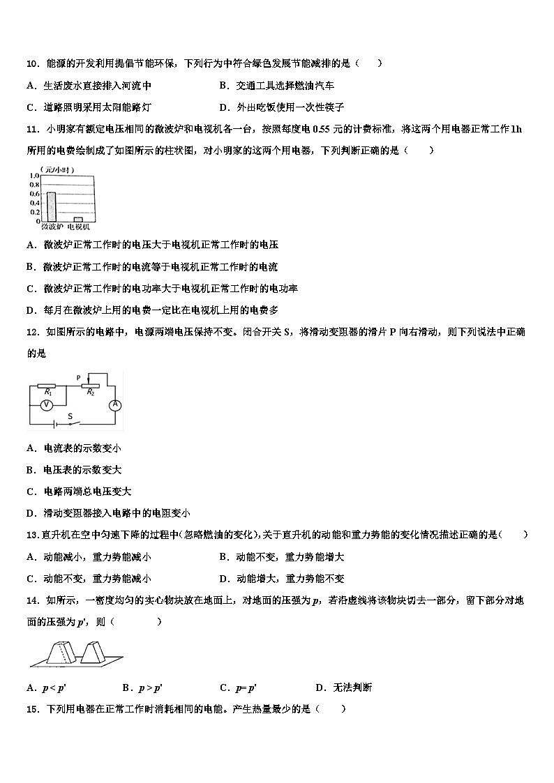 河北省2024年物理九上期末学业质量监测试题第3页