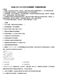 河北省2023-2024学年九年级物理第一学期期末模拟试题