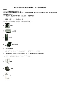 河北省2023-2024学年物理九上期末经典模拟试题