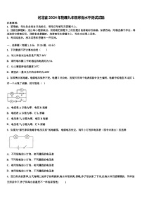 河北省2024年物理九年级寒假水平测试试题