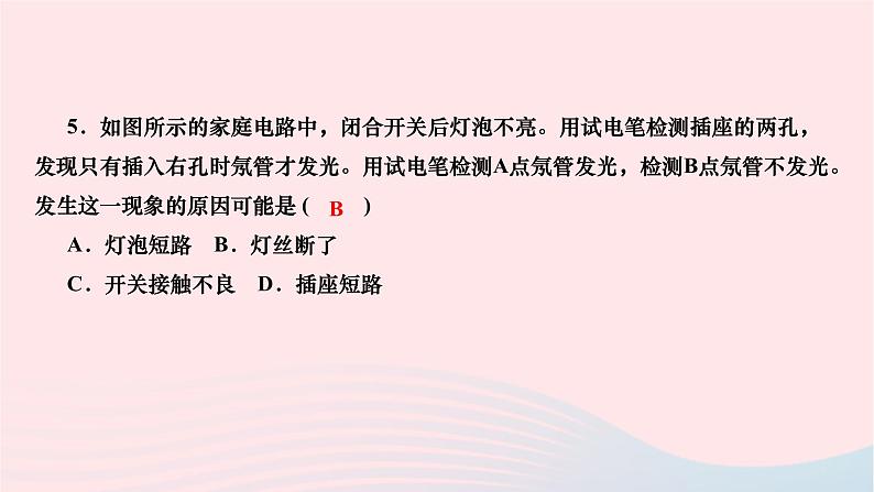 2024九年级物理下册期末复习三电功率及家庭用电作业课件新版北师大版05