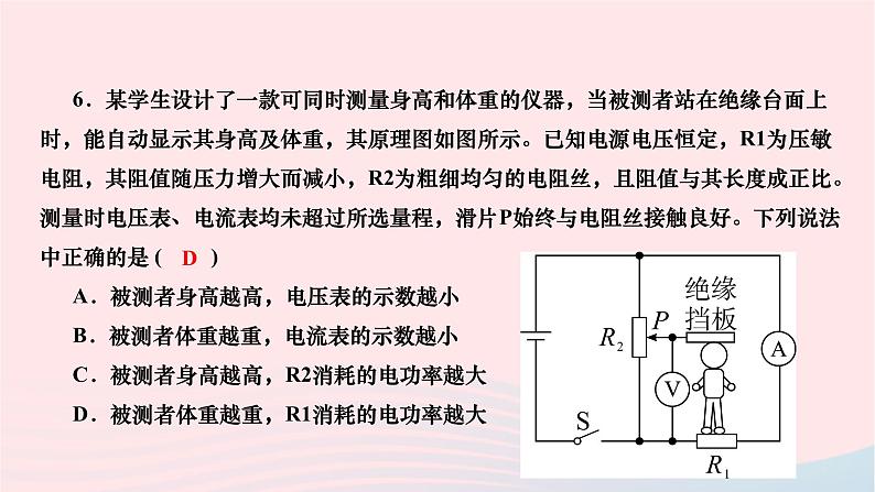 2024九年级物理下册期末复习三电功率及家庭用电作业课件新版北师大版06