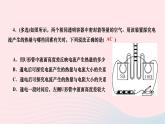 2024九年级物理下册期末复习六电功率及家庭用电作业课件新版北师大版