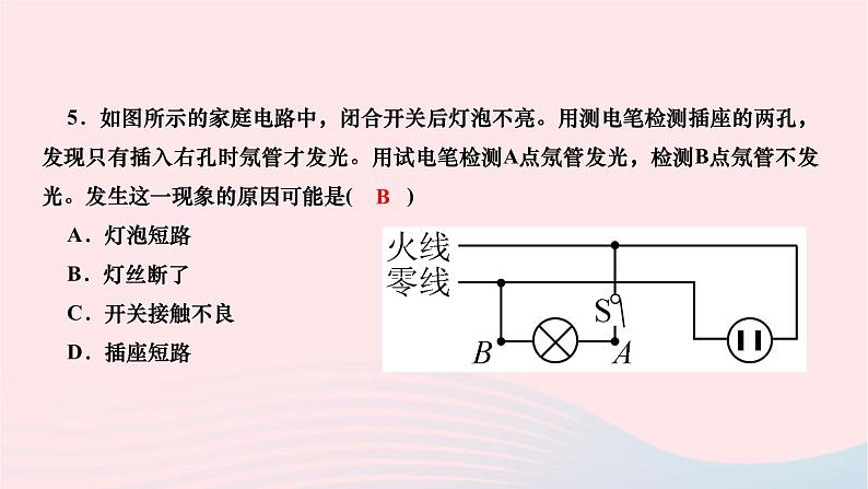 2024九年级物理下册期末复习六电功率及家庭用电作业课件新版北师大版06