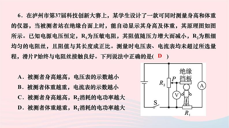 2024九年级物理下册期末复习六电功率及家庭用电作业课件新版北师大版07