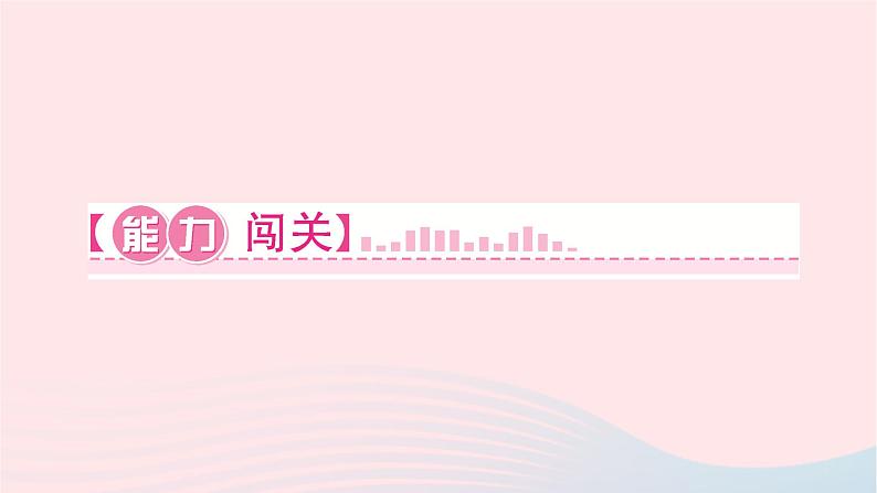 2024九年级物理下册第十三章电功和电功率13.3学生实验：探究__小灯泡的电功率作业课件新版北师大版07