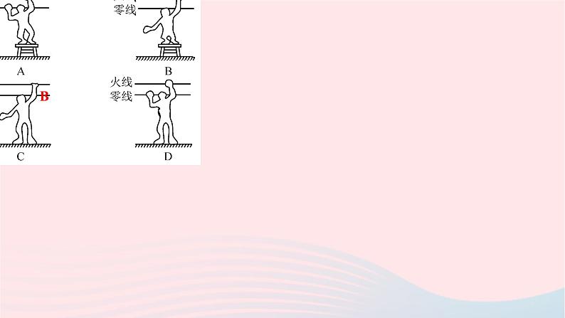 2024九年级物理下册第十三章电功和电功率13.6安全用电作业课件新版北师大版08