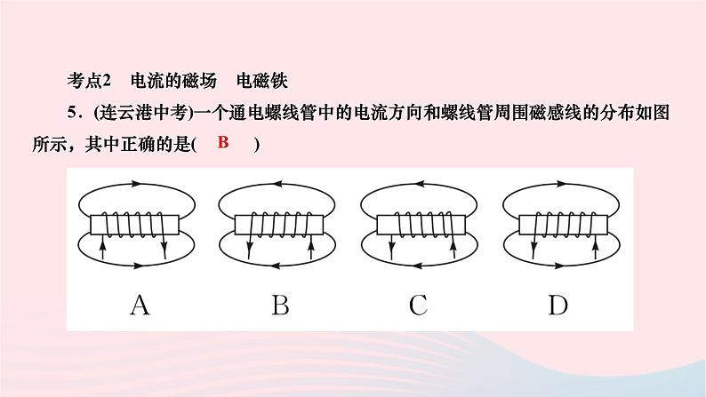 2024九年级物理下册第十四章磁现象高频考点专练作业课件新版北师大版05