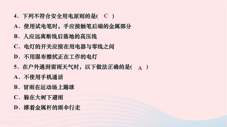 2024九年级物理全册第十九章生活用电第三节安全用电作业课件新版新人教版08