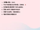 2024九年級(jí)物理全冊(cè)第十九章生活用電雙休作業(yè)第十九章作業(yè)課件新版新人教版