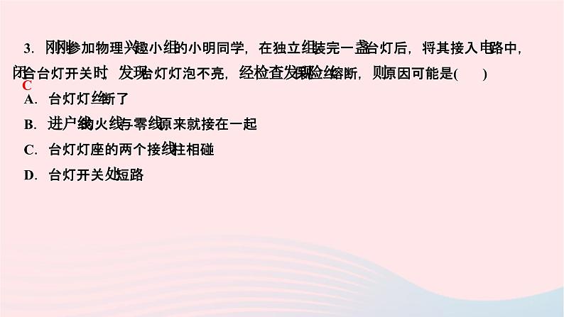 2024九年级物理全册第十九章生活用电双休作业第十九章作业课件新版新人教版04