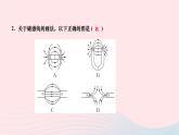 2024九年级物理全册第二十章电与磁第一节磁现象磁场第二课时磁场作业课件新版新人教版