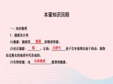 2024九年級物理全冊第二十二章能源與可持續(xù)發(fā)展本章復習與訓練作業(yè)課件新版新人教版