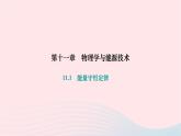 2024九年级物理下册第十一章物理学与能源技术11.1能量守恒定律作业课件新版教科版