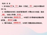 2024九年级物理下册第十一章物理学与能源技术本章复习与训练作业课件新版教科版