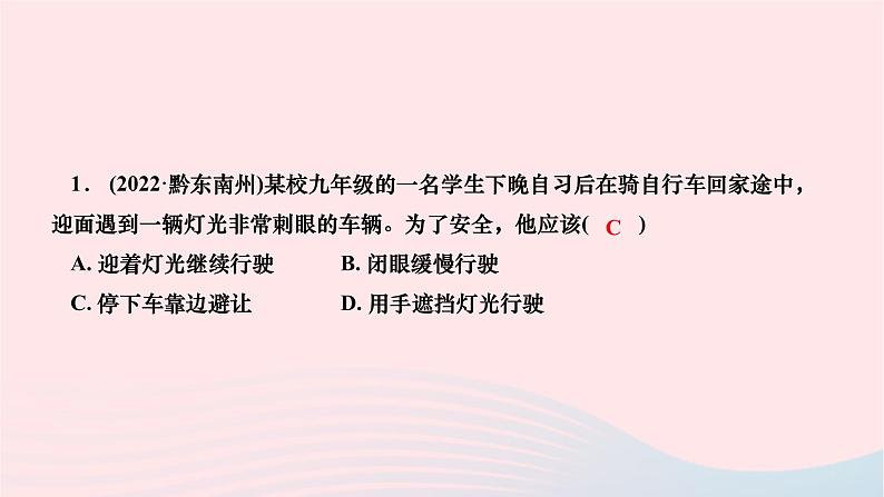 2024九年级物理全册复习题四光和透镜作业课件新版新人教版第3页