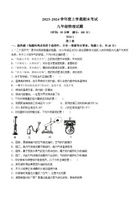 山东省临沂市临沭县2023-2024学年九年级上学期1月期末物理试题