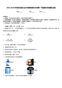 2023-2024学年四川省乐山市井研县物理九年级第一学期期末检测模拟试题含答案